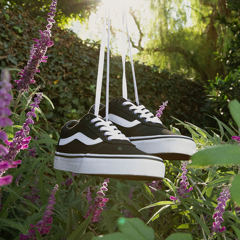 academy shoes vans